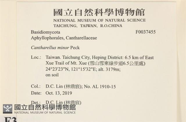 登錄號:F0037455藏品圖，第2張