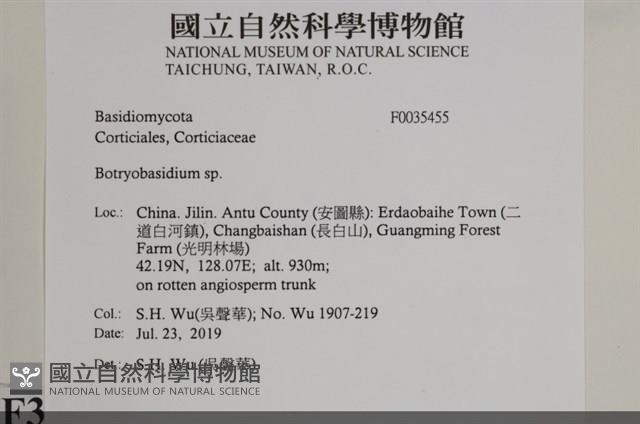 登錄號:F0035455藏品圖，第2張