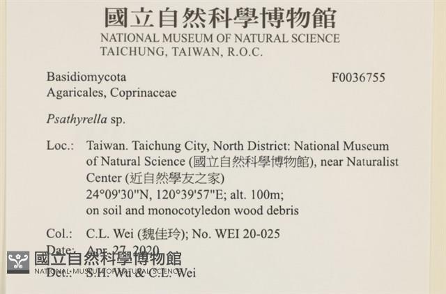 登錄號:F0036755藏品圖，第2張