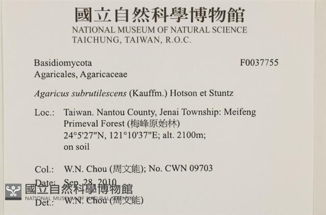 登錄號:F0037755藏品圖，第2張