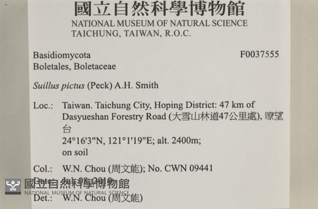 登錄號:F0037555藏品圖，第2張
