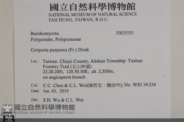 登錄號:F0035555藏品圖，第2張