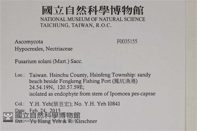 登錄號:F0035155藏品圖，第2張