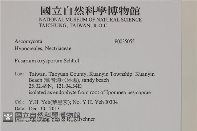 登錄號:F0035055藏品圖，第2張