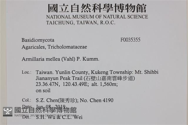 登錄號:F0035355藏品圖，第2張