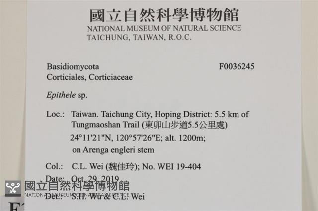 登錄號:F0036245藏品圖，第2張