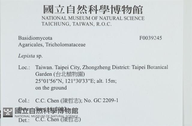 登錄號:F0039245藏品圖，第1張