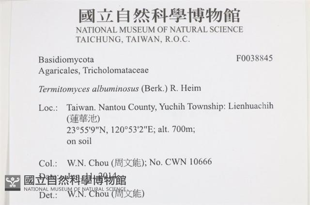 登錄號:F0038845藏品圖，第2張