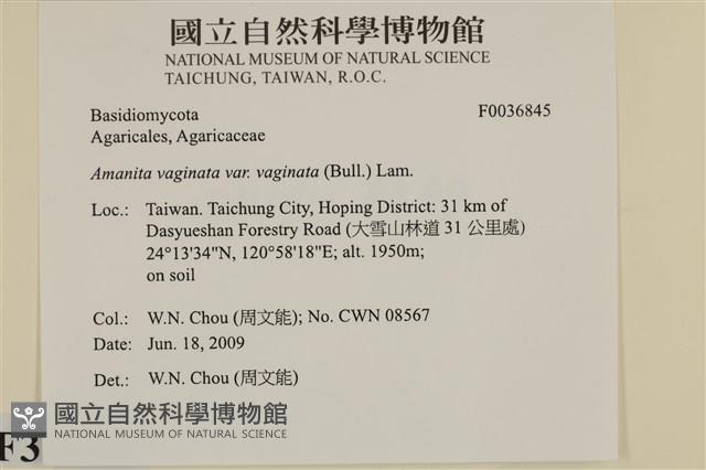 館號:F0036845藏品圖，第2張
