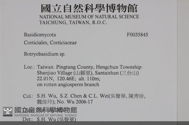 登錄號:F0035845藏品圖，第2張