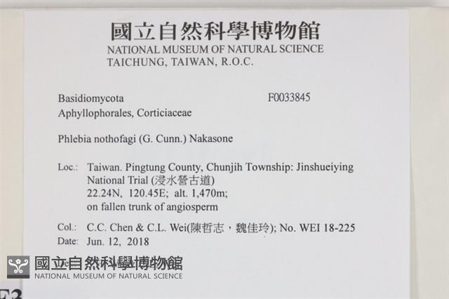 登錄號:F0033845藏品圖，第3張