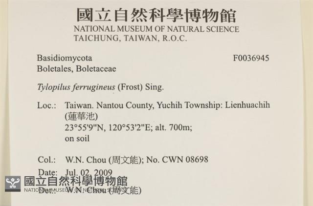 登錄號:F0036945藏品圖，第2張
