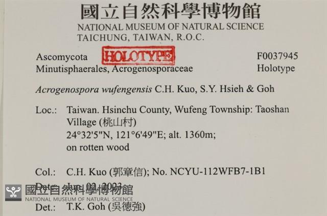 登錄號:F0037945藏品圖，第2張