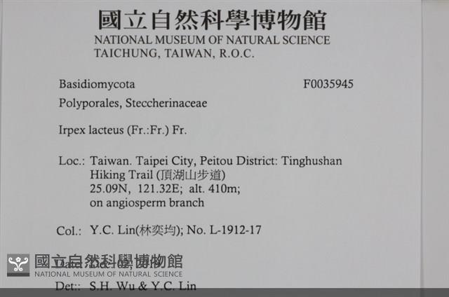 登錄號:F0035945藏品圖，第2張