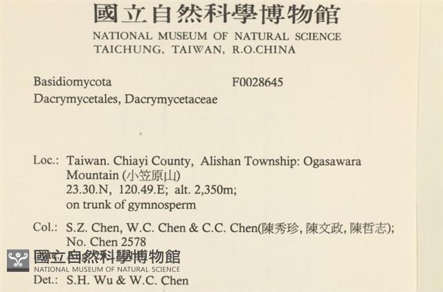 登錄號:F0028645藏品圖，第2張