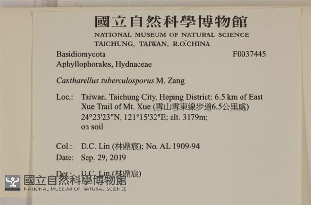 登錄號:F0037445藏品圖，第2張