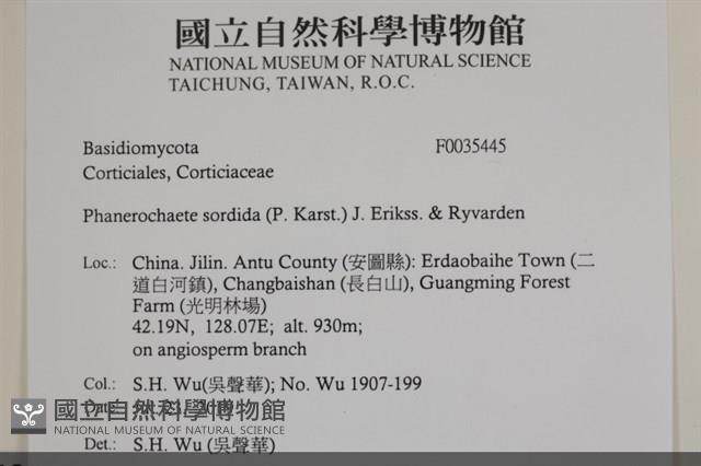 登錄號:F0035445藏品圖，第2張
