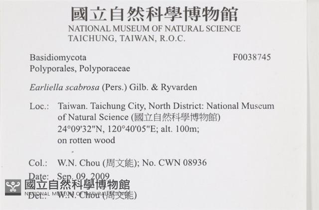 登錄號:F0038745藏品圖，第2張