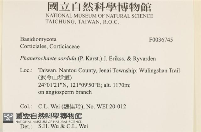 登錄號:F0036745藏品圖，第2張