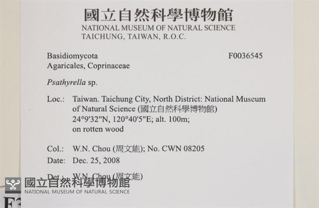 登錄號:F0036545藏品圖，第2張