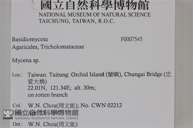 Accession Number:F0007545 Collection Image, Figure 4, Total 4 Figures