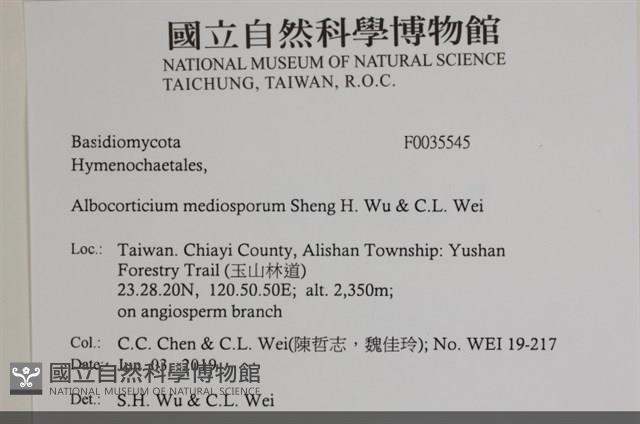 登錄號:F0035545藏品圖，第2張