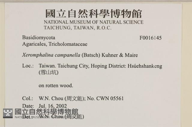登錄號:F0016145藏品圖，第4張