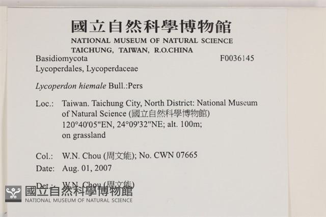 登錄號:F0036145藏品圖，第2張