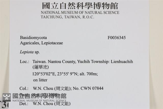登錄號:F0036345藏品圖，第2張