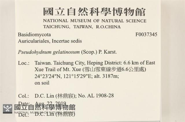登錄號:F0037345藏品圖，第2張
