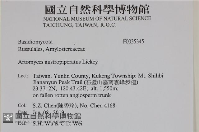 登錄號:F0035345藏品圖，第2張