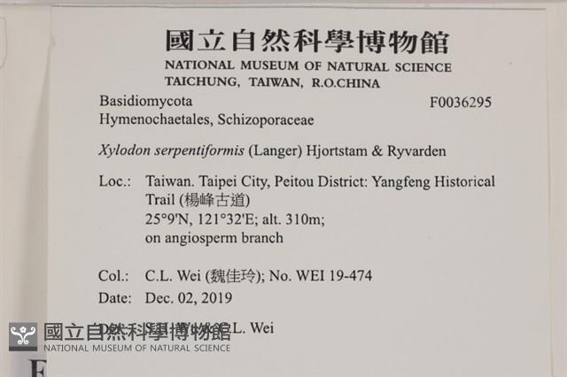 登錄號:F0036295藏品圖，第2張