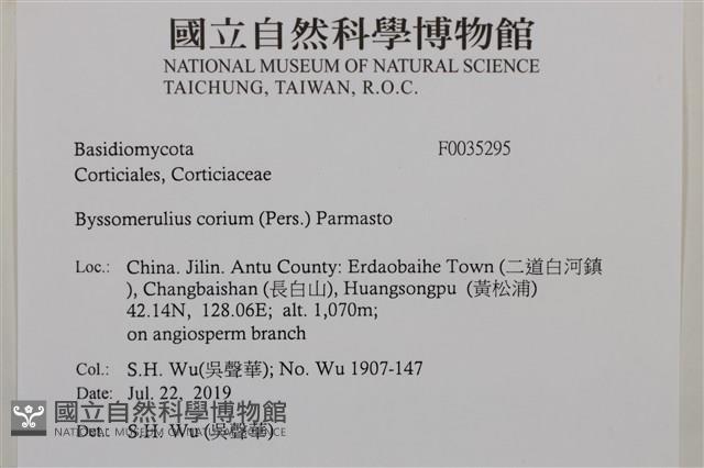 登錄號:F0035295藏品圖，第2張