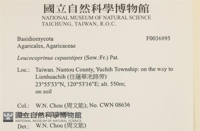 登錄號:F0036895藏品圖，第2張
