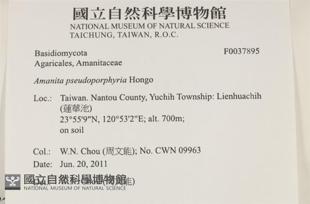 登錄號:F0037895藏品圖，第2張