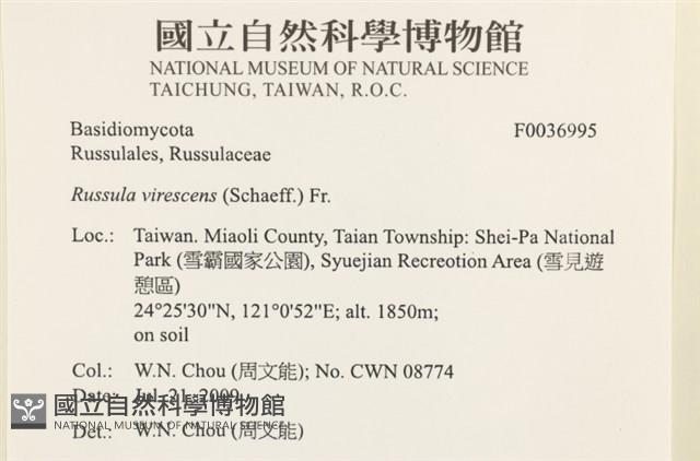 登錄號:F0036995藏品圖，第2張