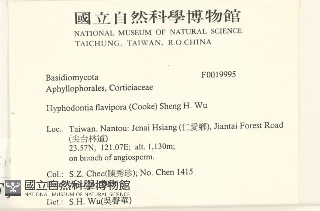 登錄號:F0019995藏品圖，第2張