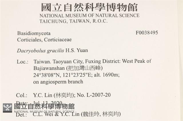 登錄號:F0038495藏品圖，第2張