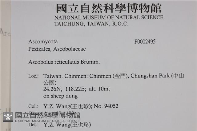 登錄號:F0002495藏品圖，第4張