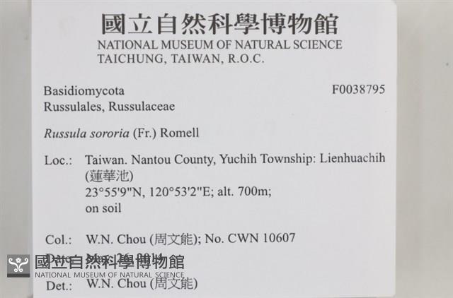 登錄號:F0038795藏品圖，第2張