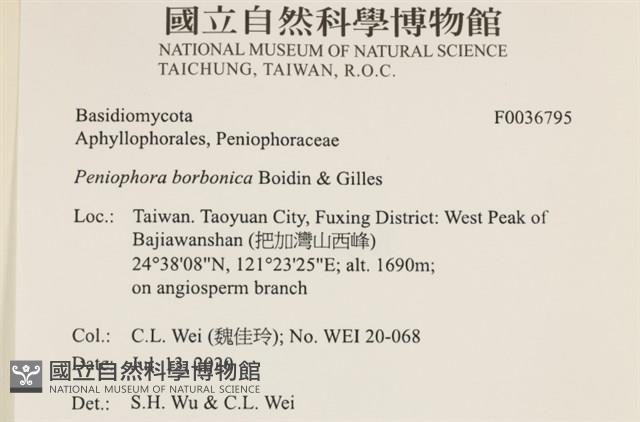 登錄號:F0036795藏品圖，第2張