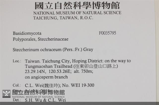 登錄號:F0035795藏品圖，第2張