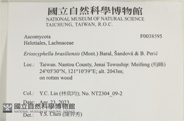 登錄號:F0038595藏品圖，第2張