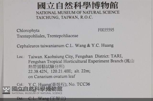 登錄號:F0035595藏品圖，第2張