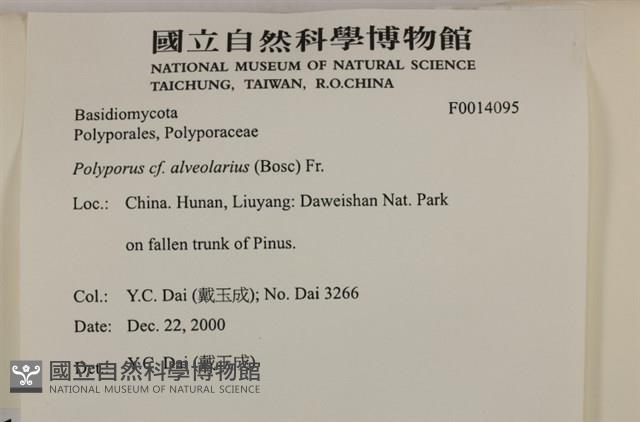 登錄號:F0014095藏品圖，第4張