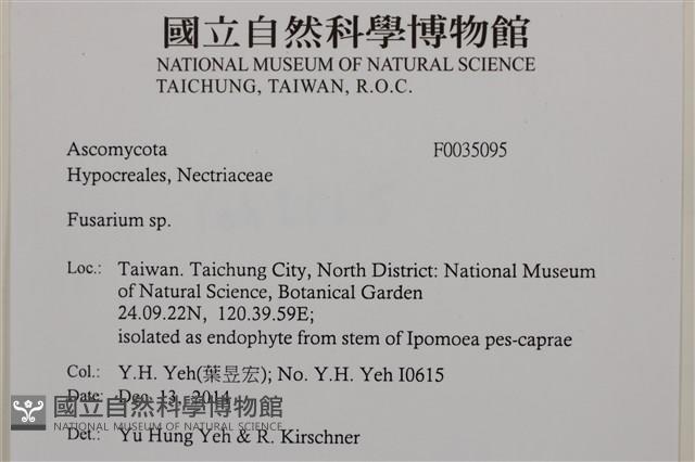 登錄號:F0035095藏品圖，第2張