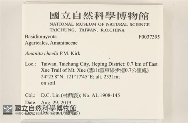 登錄號:F0037395藏品圖，第2張