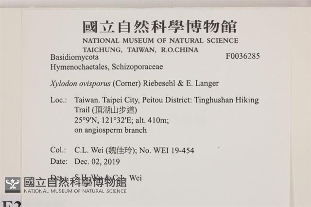 登錄號:F0036285藏品圖，第2張