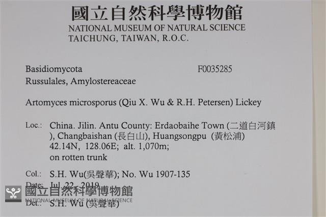登錄號:F0035285藏品圖，第2張