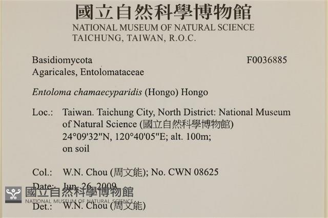 登錄號:F0036885藏品圖，第2張